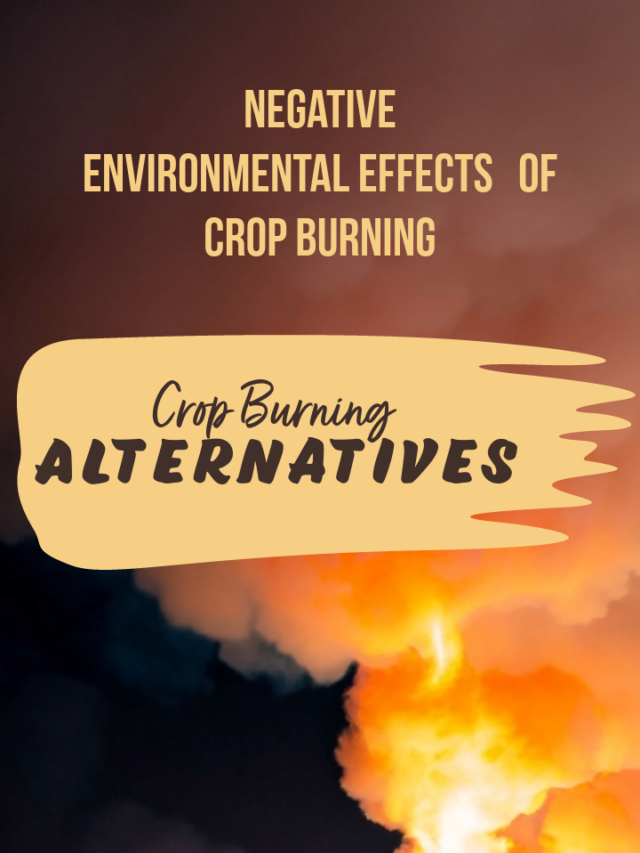 Alternatives to Crop Burning